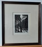 Frans Masereel: processie (Mon pays), Antiek en Kunst, Kunst | Etsen en Gravures, Ophalen of Verzenden