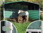 Weidetent 3,6m diep x 4m breed 'Nieuw', 2 of 3 paarden of pony's, Weidegang