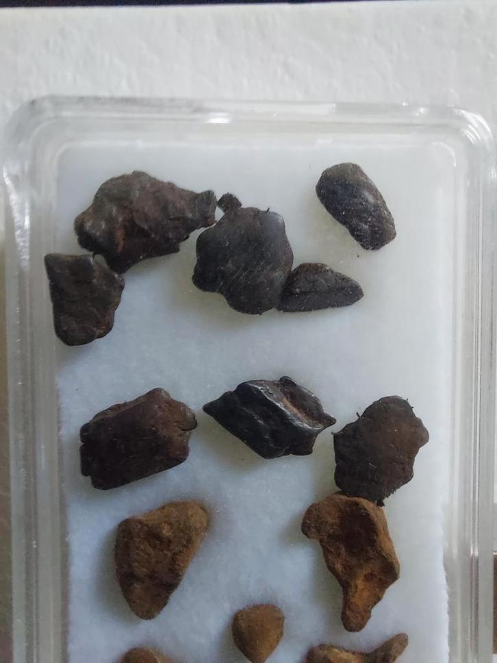 Agoudal meteorieten lot, Verzamelen, Mineralen en Fossielen, Overige typen, Ophalen of Verzenden