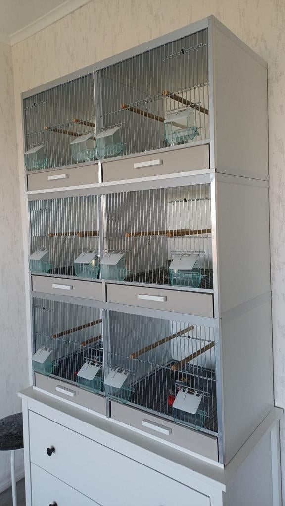 Kweek kooien., Dieren en Toebehoren, Vogels | Hokken en Kooien, Ophalen, Zo goed als nieuw, Kunststof, Broedkooi of Kweekkooi