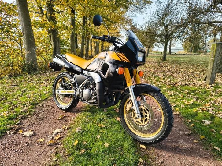 Yamaha TDR 250, Motos, Motos | Yamaha, Entreprise, 2 cylindres, Enlèvement