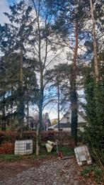 Bomen/ gratis, Ophalen