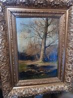 Paysage forêt, Enlèvement ou Envoi