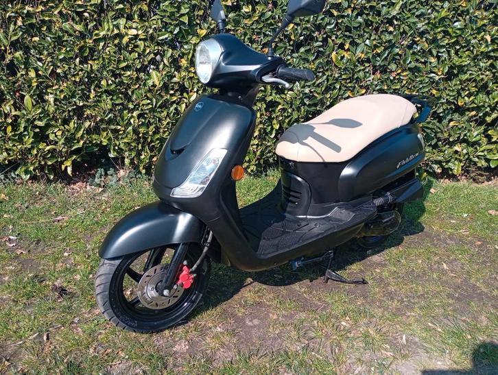 Fiddle 2 in heel mooie en goede staat B klasse 45km u, Fietsen en Brommers, Scooters | SYM, Zo goed als nieuw, Fiddle, Klasse B (45 km/u)