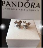 Icone couplé Mickey & Minnie  + cle pendentif