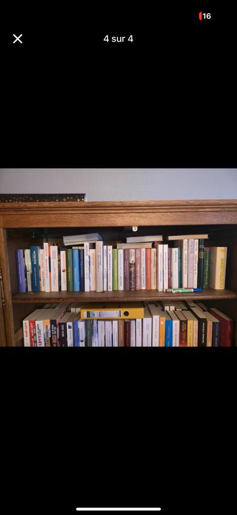 Grand lot de livres – romans et sagas (plus de 90 livres), Huis en Inrichting, Kasten | Boekenkasten, Zo goed als nieuw, Ophalen of Verzenden