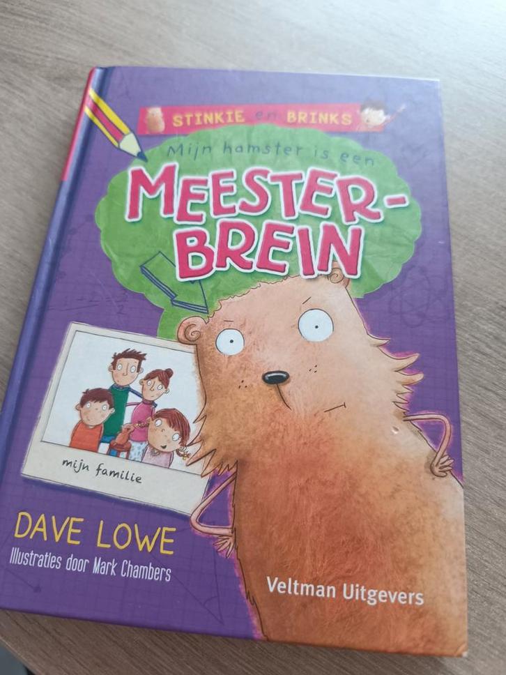 Dave Lowe - Mijn hamster is een meesterbrein, Boeken, Kinderboeken | Jeugd | onder 10 jaar, Ophalen