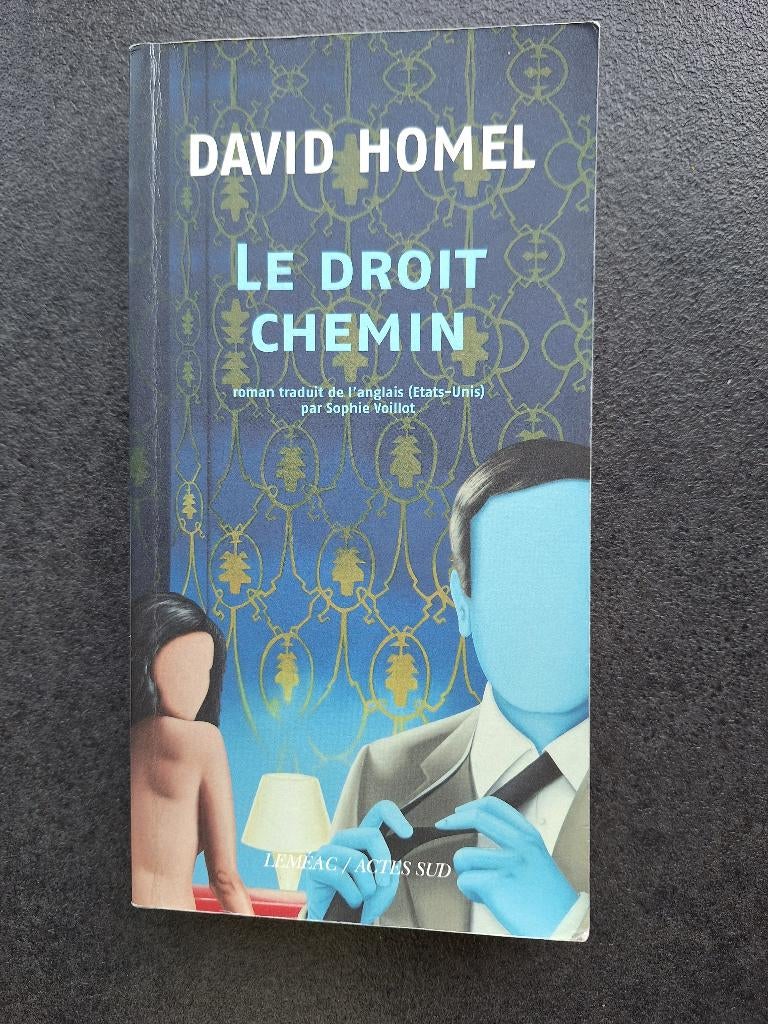 Le droit chemin - David Homel, Livres, Littérature, Comme neuf, Enlèvement, Europe autre, David Homel