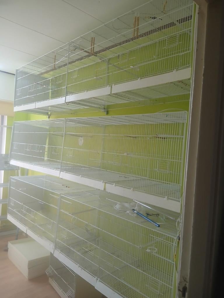 Te koop 6x broedkoien  120x50 compleet voerbakken tussen sc, Ophalen