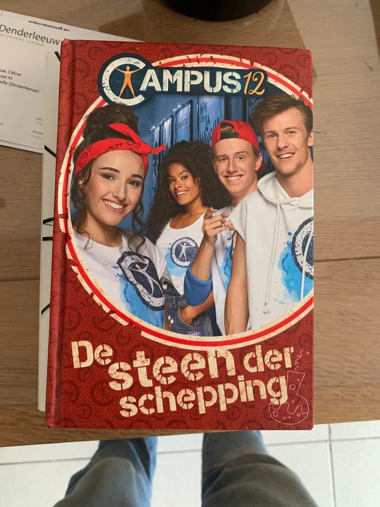 Gert Verhulst - De steen der schepping, Ophalen of Verzenden, Gert Verhulst