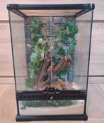 Terrarium, Animaux & Accessoires, Enlèvement, Utilisé, Terrarium ou Paludarium