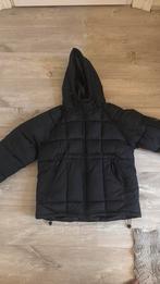 Veste cp company, Kleding | Heren, Jassen | Winter, Ophalen of Verzenden, Zo goed als nieuw