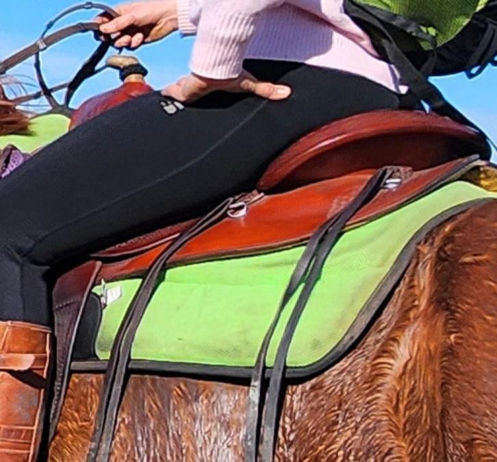 Western zadel deuber & partner, Animaux & Accessoires, Chevaux & Poneys | Produits de soin, Enlèvement