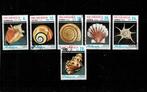 AMÉRIQUE NICARAGUA COQUILLAGES 6 TIMBRES OBLITERES - SCAN, Enlèvement, Affranchi, Amérique centrale