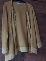 Kleding dames, Kleding | Dames, Grote Maten, Ophalen, Overige kleuren, Trui of Vest, Zo goed als nieuw