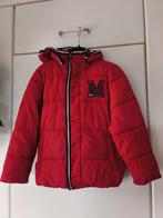 Blouson enfant matelassé avec capuche T. 6 ans - MC GREGOR, Enfants & Bébés, Garçon ou Fille, Enlèvement ou Envoi, Utilisé, Mc Gregor