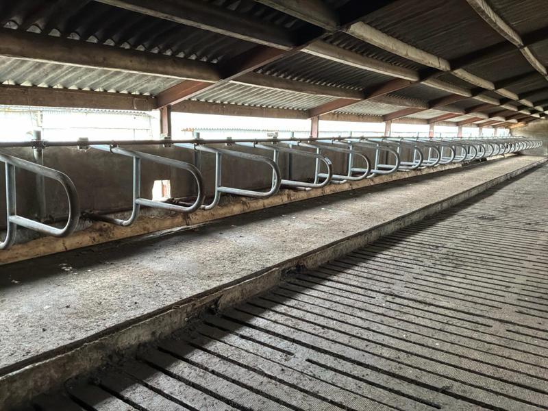 Cubicles, Animaux & Accessoires, Box & Pâturages