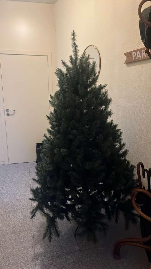 Kerstboom - volledig, Ophalen, Zo goed als nieuw