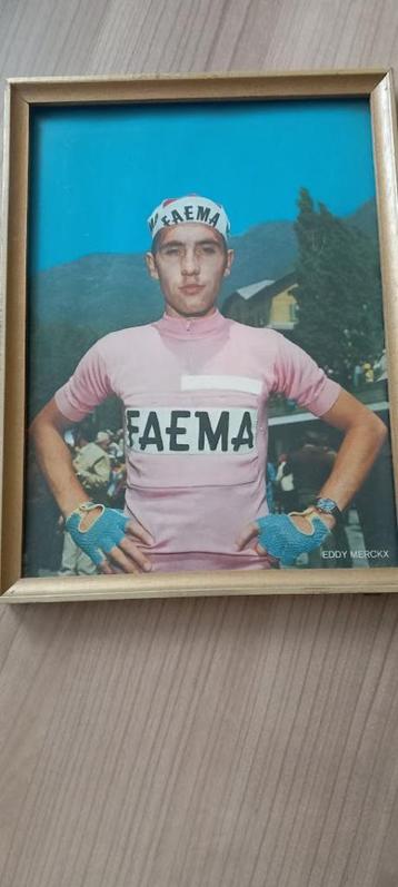 Fotokader van Eddy Merckx in de roze trui. beschikbaar voor biedingen
