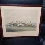 Lithographie de course de chevaux du xix siècle, Antiquités & Art, Art | Peinture | Classique, Enlèvement