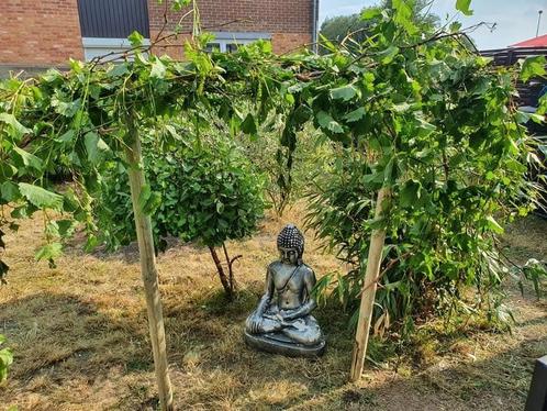 Pour de bon travaux jardin et maçonnerie, nous sommes la, Vacatures, Vacatures | Landbouw, Natuur en Milieu