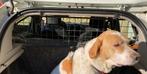 Beveiligingshek voor hond Dacia Sandero, Dieren en Toebehoren, Verzenden, Zo goed als nieuw