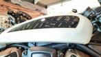 Harley-Davidson SPORTSTER S - RH1250S - NIEUW 2022 MODEL, Motos, Autre, Plus de 35 kW, 1252 cm³, Entreprise