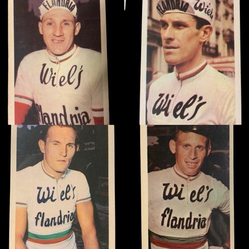 GEZOCHT Wiel’s Flandria oude koerstrui wielertrui wol, Fietsen en Brommers, Fietsaccessoires | Fietskleding, Zo goed als nieuw