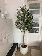 Kunstmatige olijfboom in pot Hoogte 210 cm Nieuw, Nieuw, Binnen
