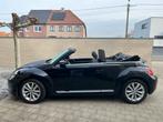 Objet de collection ! BEETLE Cabriolet, Autos, Cuir, Achat, Cabriolet, Noir