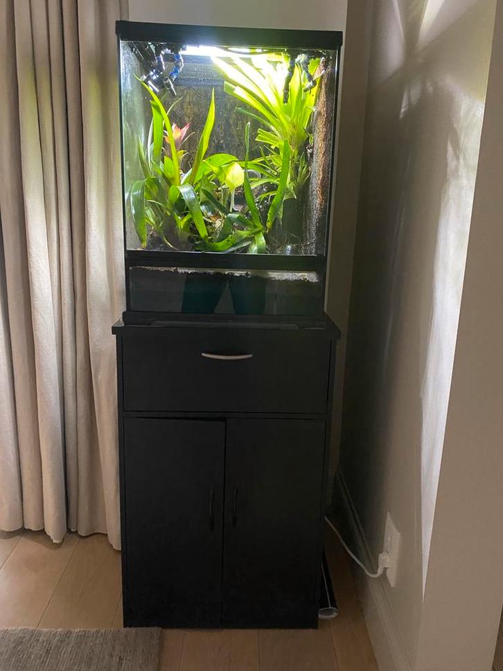 Paludarium in top staat, Dieren en Toebehoren, Reptielen en Amfibieën | Toebehoren, Zo goed als nieuw, Ophalen