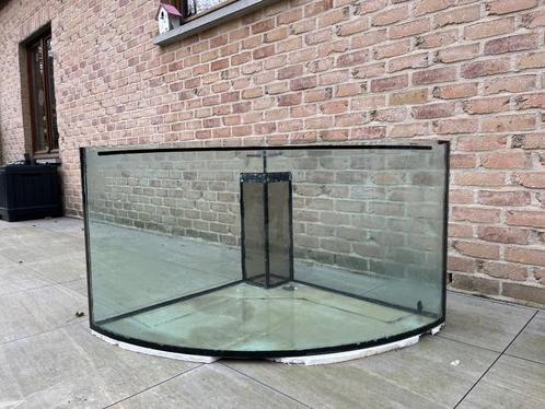 Aquarium d’ angle, Dieren en Toebehoren, Overige Dieren-accessoires, Gebruikt, Ophalen