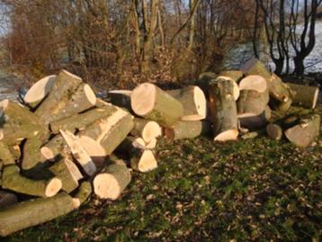 brandhout beschikbaar voor biedingen