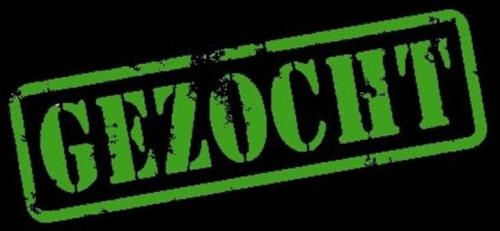 Speelkameraatjes gezocht, Dieren en Toebehoren, Paarden, Meerdere dieren, Niet van toepassing, 160 tot 165 cm, 7 tot 10 jaar, Recreatiepaard