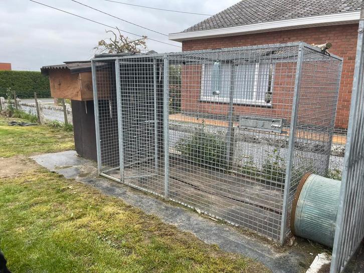 Papegaaienkooi met nachthok en broedblok, Dieren en Toebehoren, Vogels | Hokken en Kooien, Gebruikt, Volière, Metaal, Ophalen
