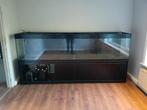 GRATIS grote quarium.  3m breed. 60cm diep. 1m40 hoog, Dieren en Toebehoren, Ophalen