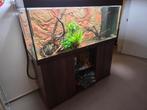 Aquarium Juwel Rio 450, Dieren en Toebehoren, Ophalen
