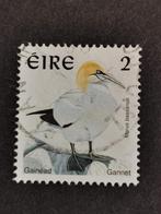 Irlande 1997 - oiseaux - Fous de Bassan, Irlande, Affranchi, Enlèvement ou Envoi
