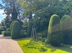 Tuinman beschikbaar, Diensten en Vakmensen, Tuinmannen en Stratenmakers, Tuinonderhoud of Snoeiwerk