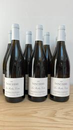 11 flessen Sancerre les belles cotes 2022, Collections, Vins, France, Enlèvement, Vin blanc, Neuf