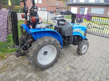 Jonge okkassie SOLIS 20 met inschrijvings papieren beschikbaar voor biedingen