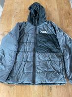 North face jas grijs, Kleding | Heren, Jassen | Winter, North face, Ophalen of Verzenden, Grijs, Gedragen