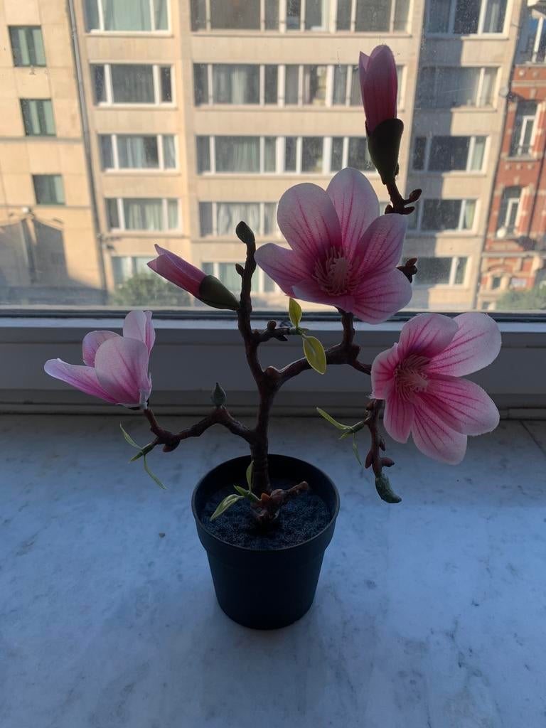 Petite plante artificielle, Enlèvement, Comme neuf