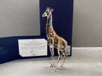 Swarovski SCS 2018  Giraffe Mudiwa, Collections, Swarovski, Enlèvement ou Envoi, Neuf, Figurine