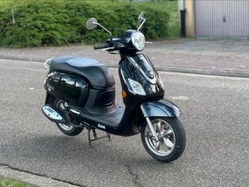 Sym Fiddle 3 B-Klasse, 49 cm³, Comme neuf, Classe B (45 km/h), Enlèvement