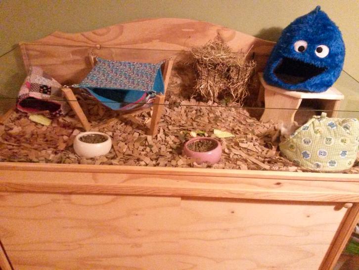 caviaverblijf, cavia kooi, cavia hok, caviaflat, Dieren en Toebehoren, Knaagdieren en Konijnen | Hokken en Kooien, Gebruikt, Kooi