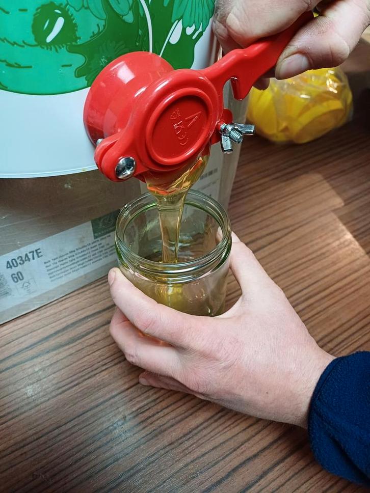 honing van de imker, Dieren en Toebehoren, Insecten en Spinnen, Bijen