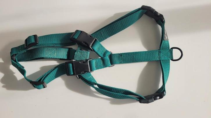 Nieuw Y-tuig voor honden – groen (maat M, 4 sluitingen), Dieren en Toebehoren, Hondenriemen, Nieuw, Ophalen of Verzenden