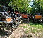 5 koetsen te koop, Dieren en Toebehoren, Gebruikt, Overige typen, Paard of Pony