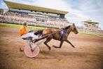 Tickets Oostende Koerse 25/08